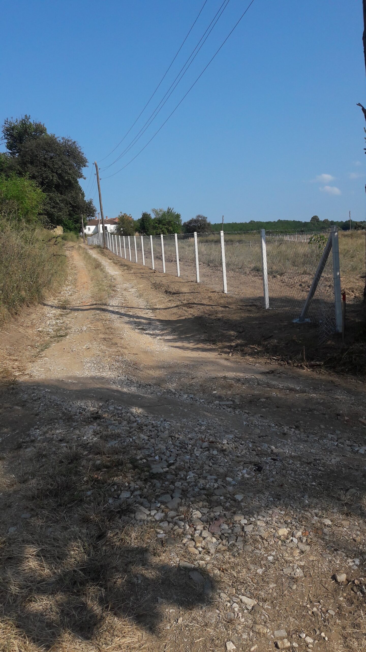 Žičane (pletene) ograde — primer izvedenih radova 14
