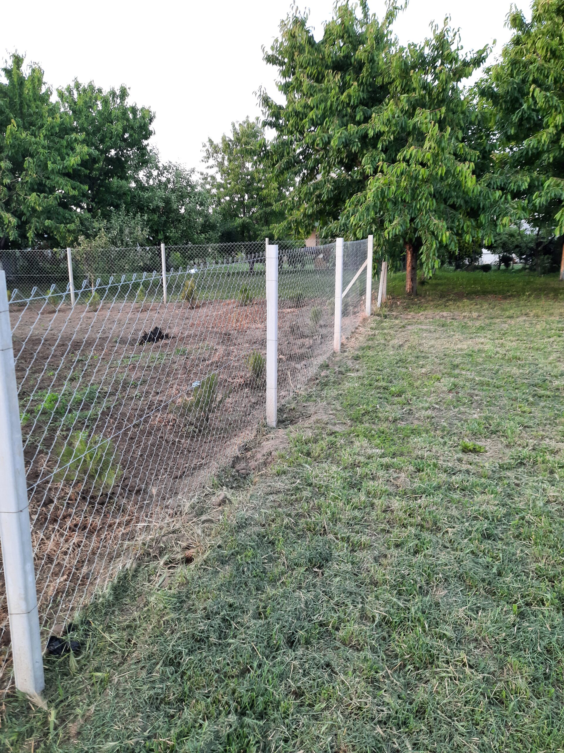 Žičane (pletene) ograde — primer izvedenih radova 4