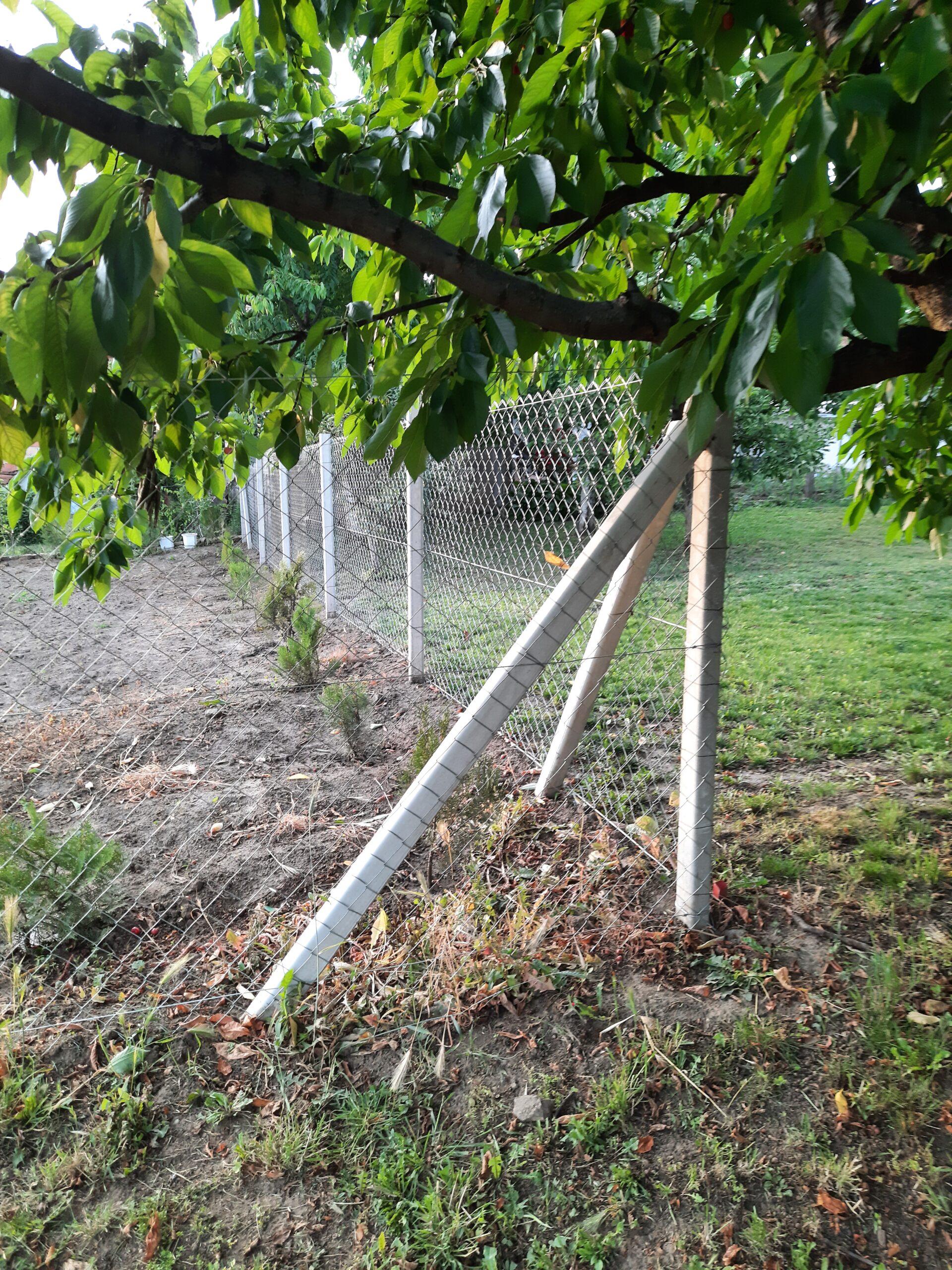 Žičane (pletene) ograde — primer izvedenih radova 26