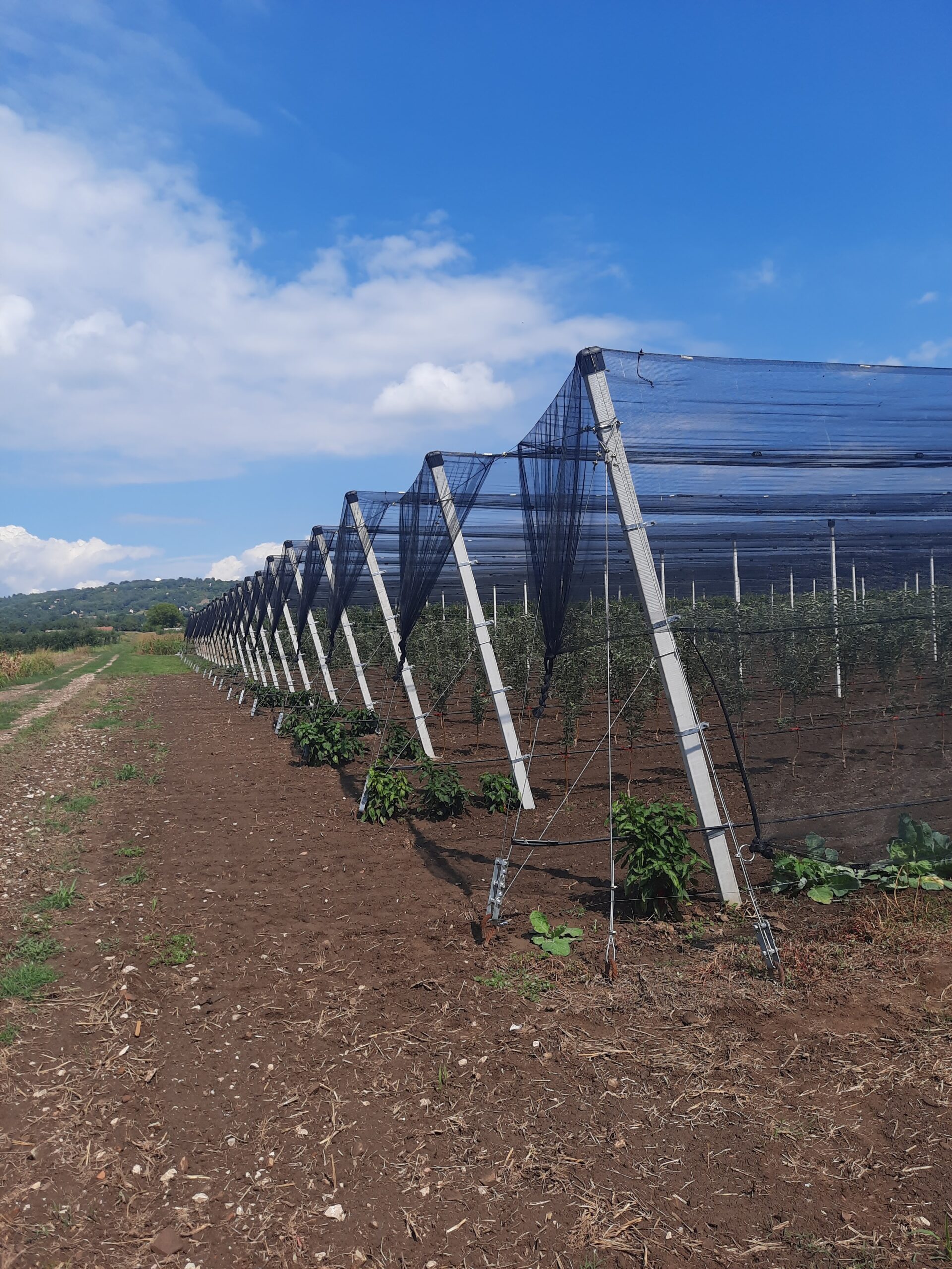 Protivgradne mreže — primer sistema 2