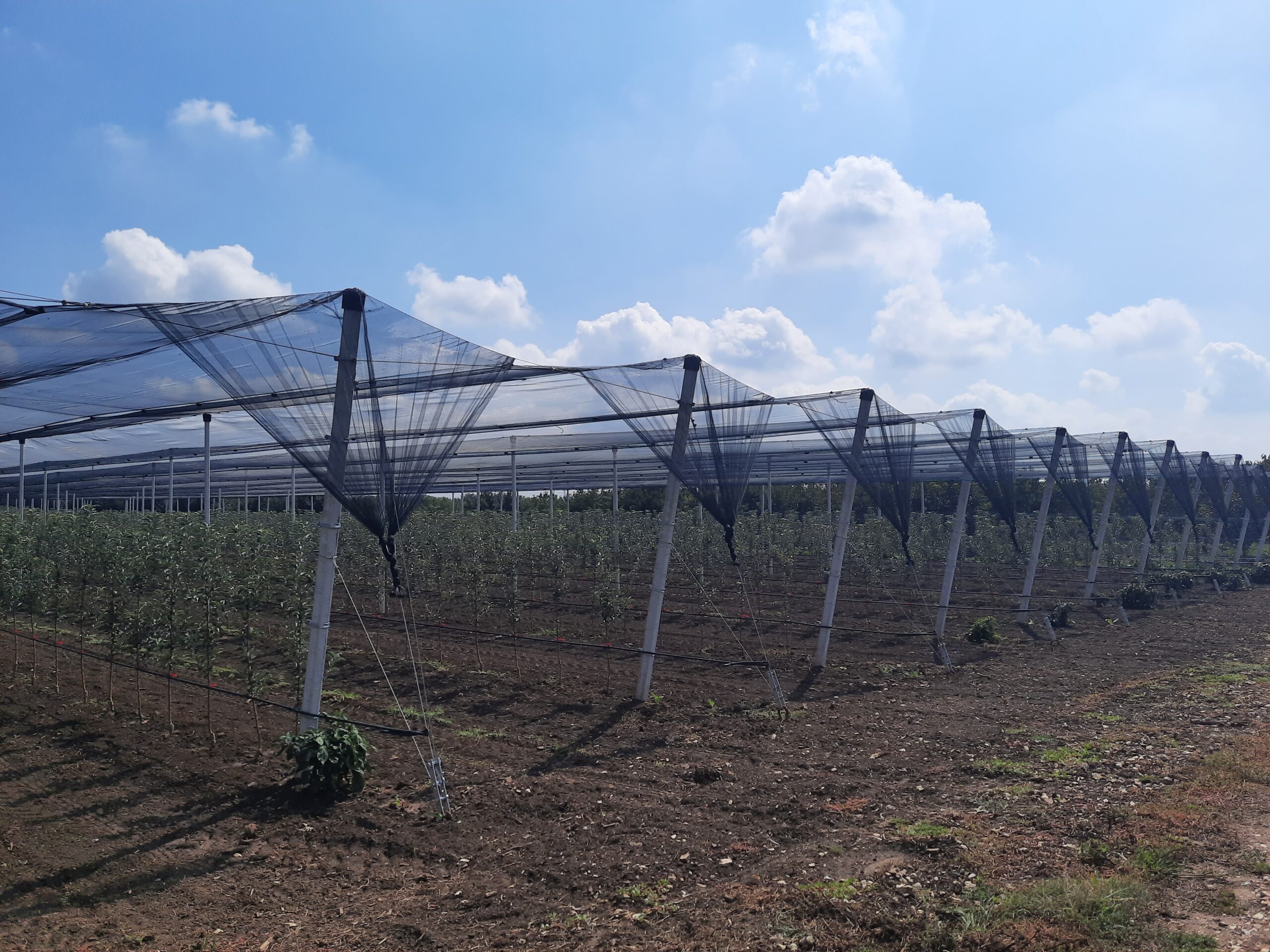 Protivgradne mreže — primer sistema 3