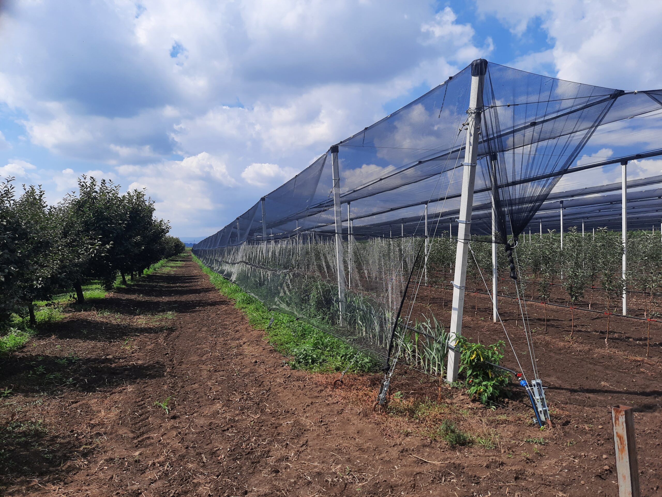 Protivgradne mreže — primer sistema 7
