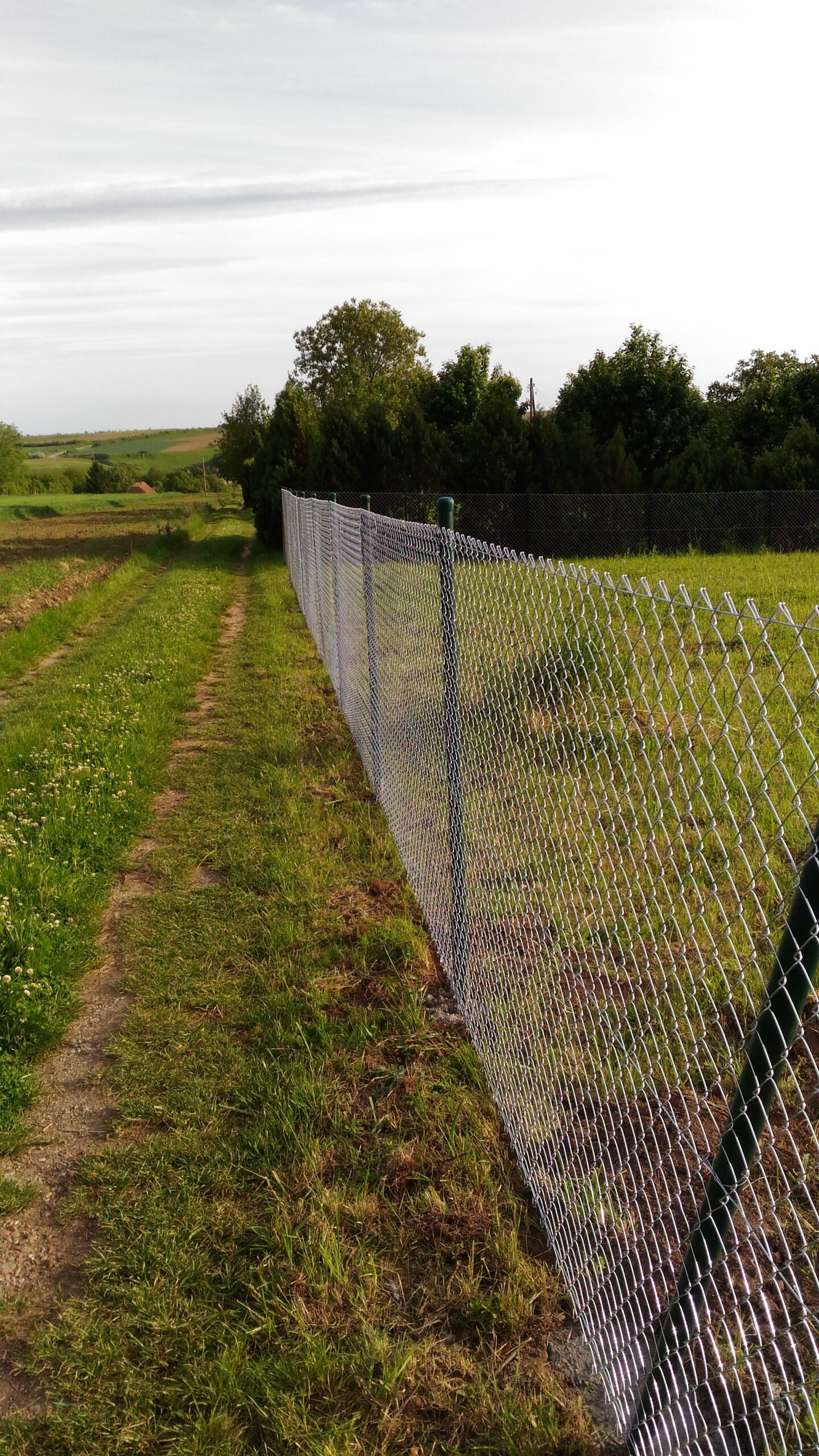 Žičane (pletene) ograde — primer izvedenih radova 50