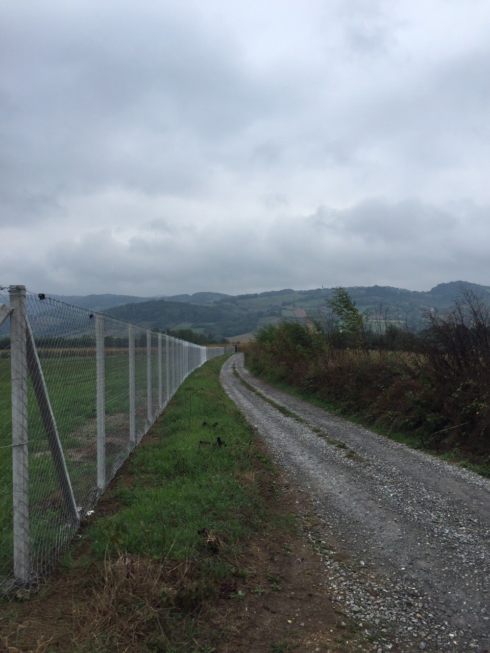 Žičane (pletene) ograde — primer izvedenih radova 45